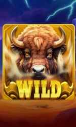 Buffalo Power Claw: Hold and Win