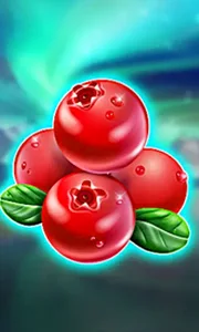 Winterberries